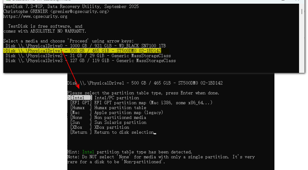 Scegliere il tipo di tabella delle partizioni per il disco RAW