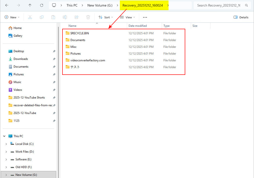 Risultato con tutti i file recuperati